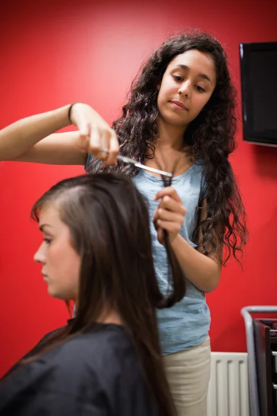 Porträt einer Friseurstudentin beim Haarschneiden — Stockfoto