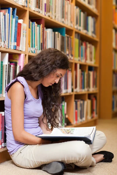 Портрет серьезного студента, читающего книгу — стоковое фото