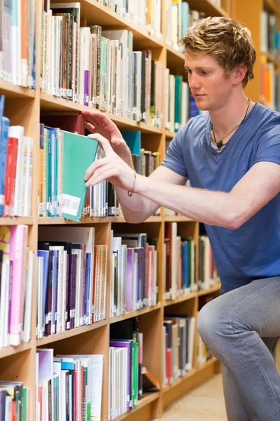 Retrato de um estudante do sexo masculino escolhendo um livro — Fotografia de Stock
