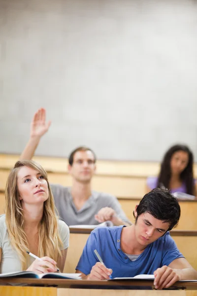 Портрет студентов, делающих заметки, пока их одноклассник поднимает руку — стоковое фото