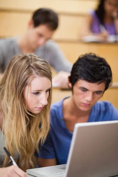 Retrato de estudantes que trabalham com um laptop — Fotografia de Stock