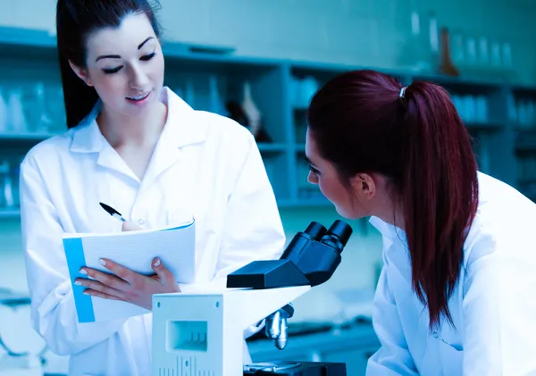 Lab partners discussing about their results — Stock Photo, Image