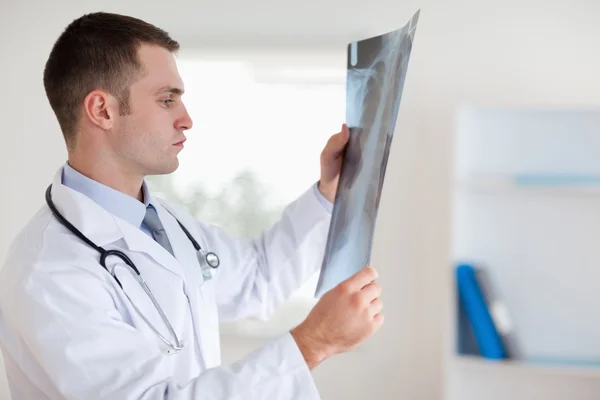 Doctor checking x-ray — Stock Photo, Image