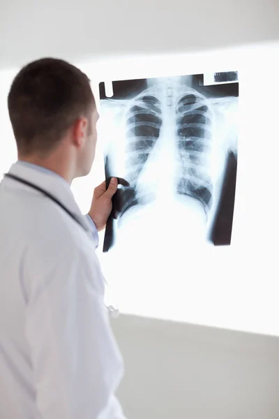 Doctor holding x-ray against light — Stock Photo, Image