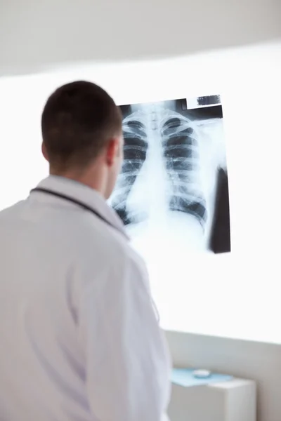 Doctor using light to check x-ray — Stock Photo, Image