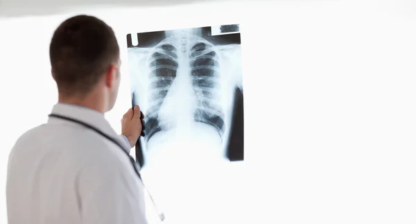 Doctor echando un vistazo de cerca a la radiografía mientras la sostiene contra lig —  Fotos de Stock