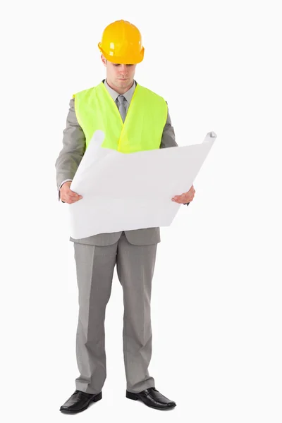 Portrait of an architect looking at a plan — Stock Photo, Image
