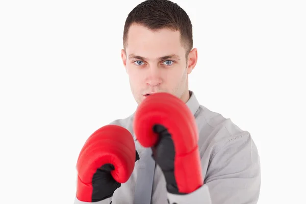 Businessman ready to fight — Stock Photo, Image