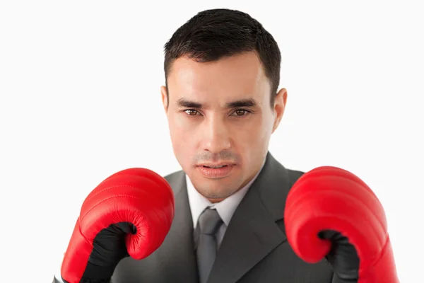 Närbild på affärsman bära boxningshandskar — Stockfoto