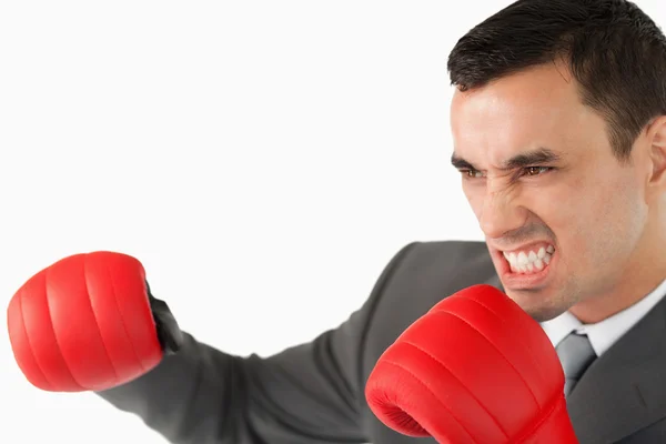 Вид сбоку агрессивного бизнесмена в боксёрских перчатках — стоковое фото