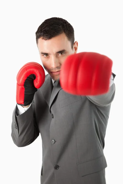 Close up of boxing businessman — Stock Photo, Image