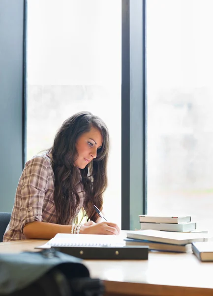 Portrait of a serious student writing Stock Image