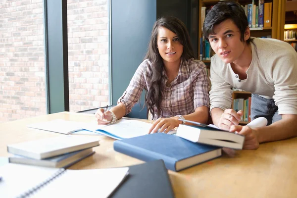 Young students working together Royalty Free Stock Images