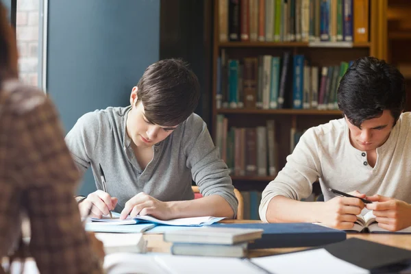 Members of a study group working Stock Image