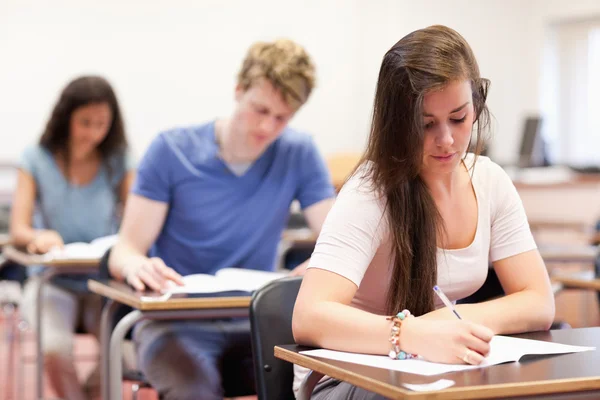 Students doing an assignment Stock Image