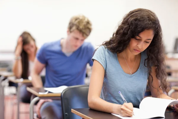 Young students working on an assignment Stock Image