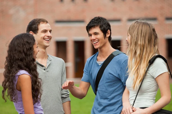 Fellow students chatting Royalty Free Stock Images