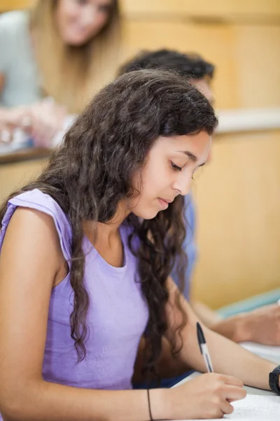 Portrait of a student writing — Stock Photo, Image