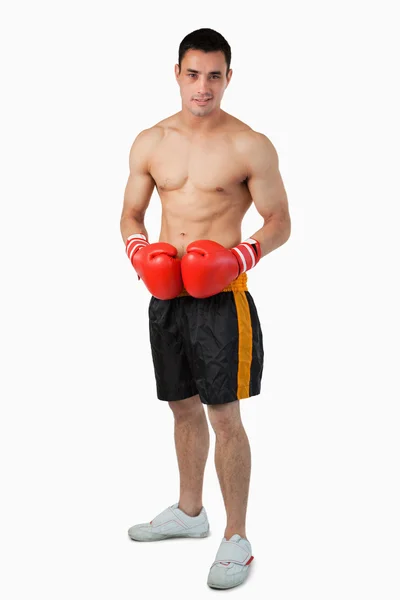 Mladý pejsek boxer — Stock fotografie