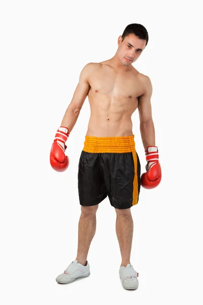 Молодий боксер — стокове фото