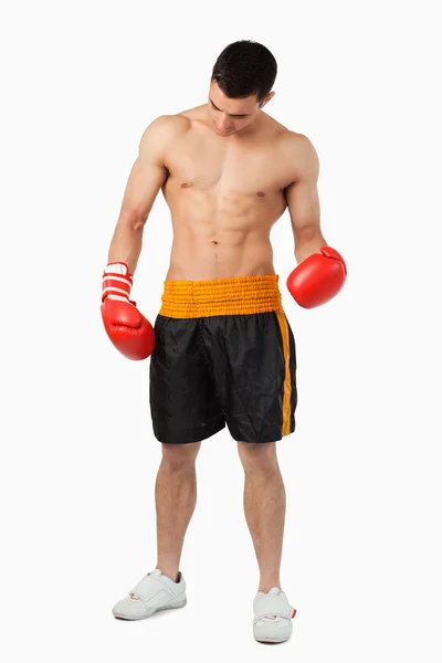 Młoda zgrana bokser — Zdjęcie stockowe