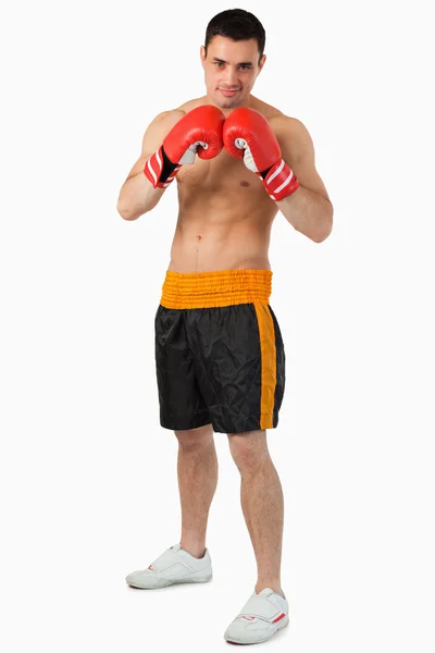 Boxer olhar confiante — Fotografia de Stock
