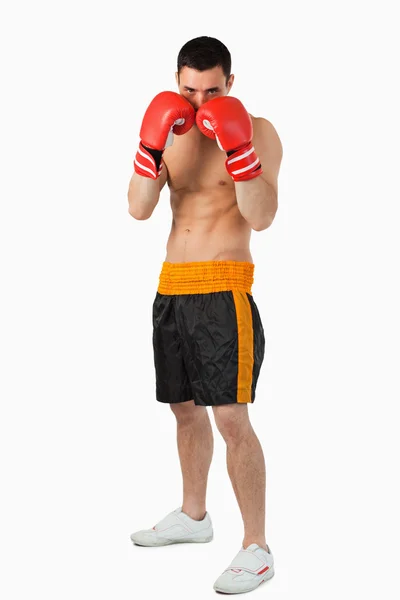 Fiatal bokszoló véve fedezet — Stock Fotó