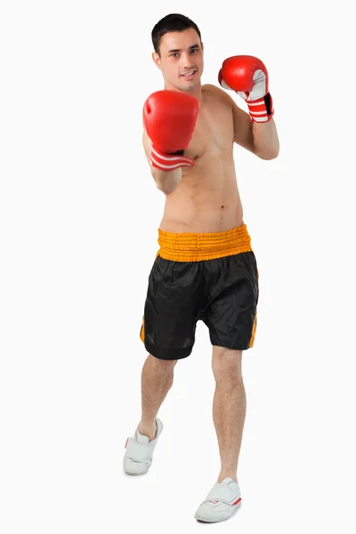 Mladý pejsek boxer provádějícího zvedák — Stock fotografie