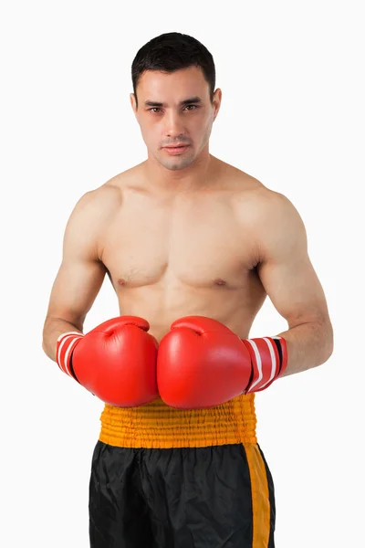 Junger Boxer mit Boxhandschuhen an — Stockfoto
