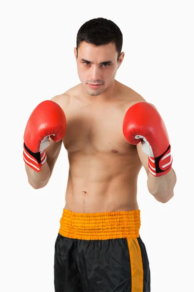 Jovem pugilista em posição de luta — Fotografia de Stock