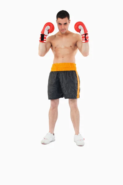 Boxer met sterke vechten geest — Stockfoto
