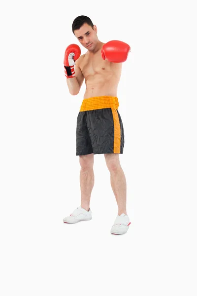 Боксер представляет левый кулак — стоковое фото