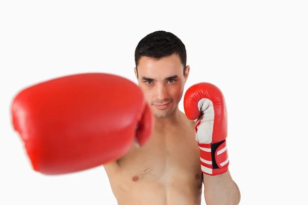 Boxer presentera knytnäven rätt — Stockfoto