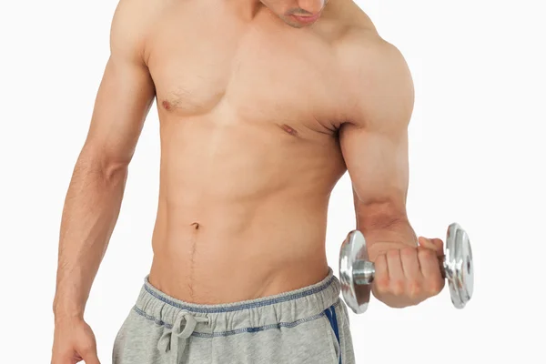 男性の持ち上がる重量 — ストック写真