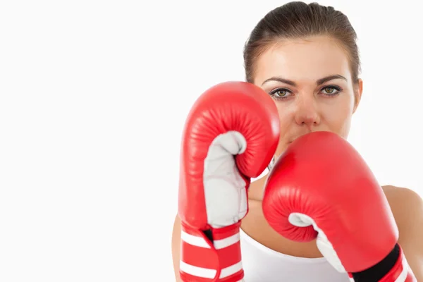 Mujer boxeadora cubriéndose detrás de sus puños —  Fotos de Stock