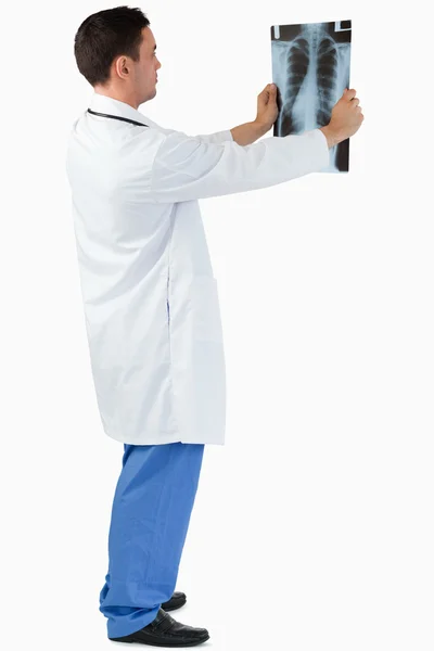 Retrato de un médico mirando rayos X — Foto de Stock