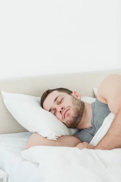 Portrait of a handsome man sleeping — Stock Photo, Image