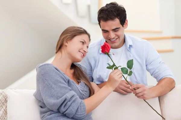 Чоловік пропонує троянду своїй дружині — стокове фото