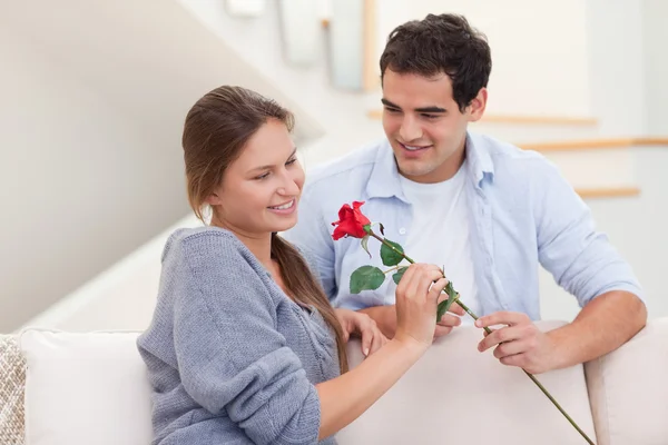 Человек, предлагающий розу своему жениху — стоковое фото