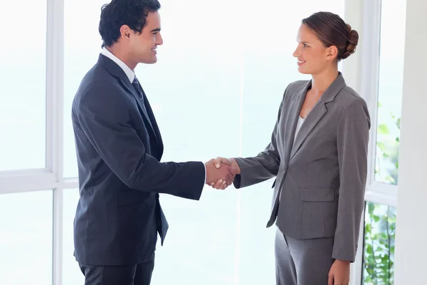 Side view of business partner shaking hands — Stock Photo, Image