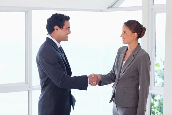 Side view of trades partner shaking hands — Stock Photo, Image