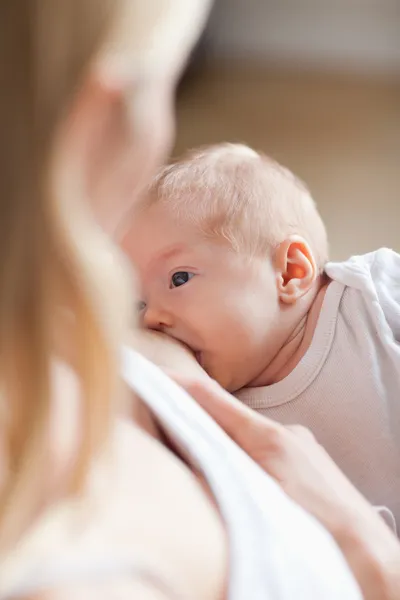 赤ちゃんが母乳を取得 — ストック写真