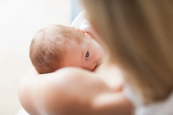 以上得到母乳喂养新生儿的视图 — 图库照片