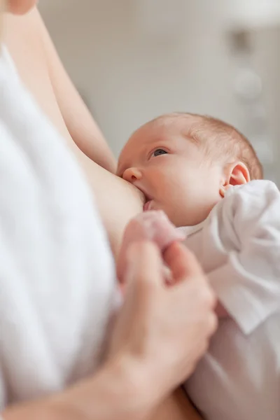 Recém-nascido a amamentar — Fotografia de Stock