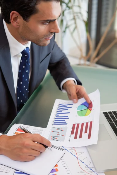 Portrait of a sales person studying statistics — Stock Photo, Image