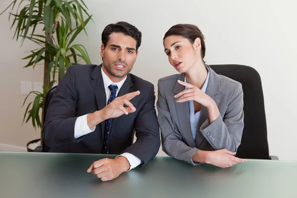 Good looking business negotiating — Stock Photo, Image