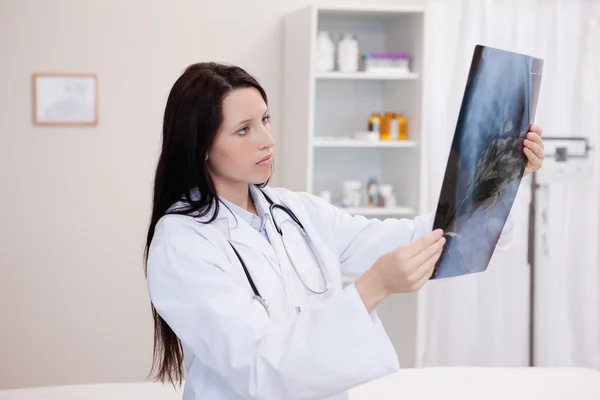 Arzt betrachtet eine Reihe von Röntgenaufnahmen — Stockfoto