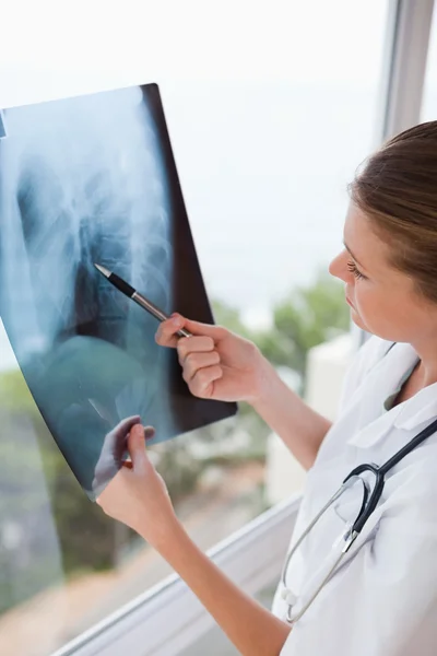 Médico segurando raio-x contra janela — Fotografia de Stock