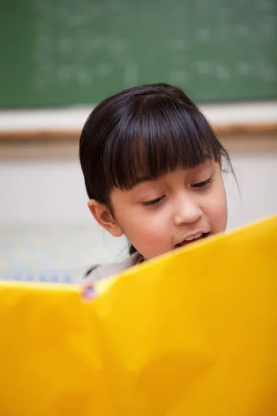 Portrait of a schoolgirl reading — Stock Photo, Image