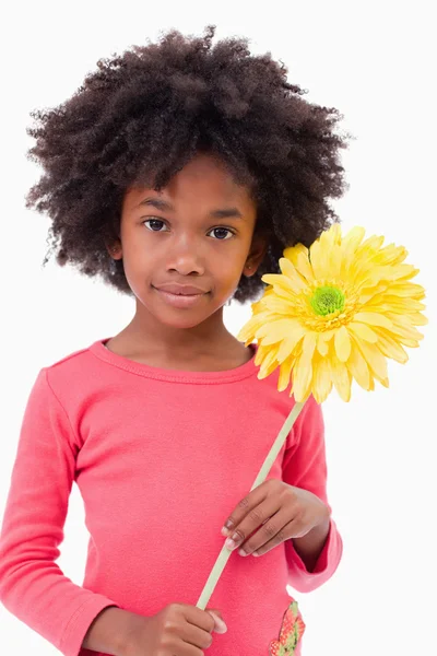 Portrait of a girl holding a flower — Stock Photo, Image